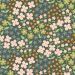 Volle_Rol_Butterfly_Buffet_Hunter
